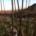lara collins - @laraandphotography - Instagram