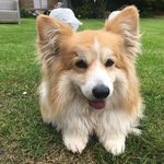 Lara Louise Connell - @laraconnell2009 - Instagram