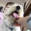 Lara Connery - @laraconnery1244 - TikTok