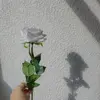 zhx - @laracoronado - TikTok