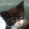 lara goyvaerts - @laraboomerdodge - TikTok
