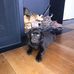 Lara Dowd - Facebook