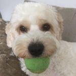Lara Dutton - @lara.dutton.52 - Instagram