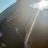 Lara Ellison - @larvabean - TikTok