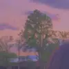 Lara Ferrer - @laraaferrer - TikTok
