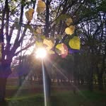 Лариса Фишкина - @larafishkina1 - Instagram