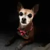 larainegillflood - @larainegillflood - TikTok