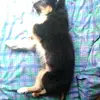 laralike - @lara_frey - TikTok