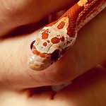 Lara and Fry - @lara_and_fry - Instagram