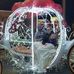 Lara Tharp - Facebook