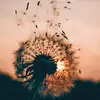 Lara Goodman - @thatgirl.lara8 - TikTok