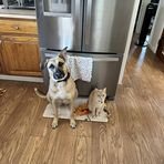 Lara Granger - Facebook