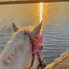 Lara Hamdan - @lara.hamdan02 - TikTok