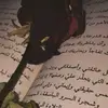 LARA_hm_2006 - @lara___hamdan - TikTok