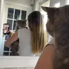 ~lara~ - @lara.harrison0 - TikTok