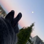 Lara Krämer - @larakramer451 - Instagram