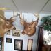 Larry Lamphere - Facebook