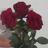Lara Leone - @lara.leone1 - TikTok