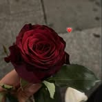 Lara Li - Facebook