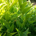 Lara Maclean - @bla_bla_bla2024 - Instagram