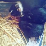 lara page - @larapage90 - Instagram