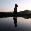 user371805 - @lara._.spike - TikTok