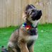 Lara Porter - Facebook