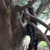 Lara power - @sainws - TikTok