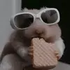 laraross27 - @laraross27 - TikTok