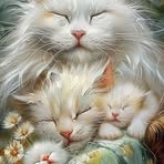Lara Roy - Facebook
