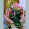 leticialarasantam - @leticialarasantamaria - TikTok