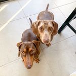 Lara & Sauer 🌭 - @laraysauer - Instagram