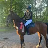Lara Schröder - @lara_schroeder_vermilla - TikTok