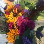 Lara Schroeder - @laraschroeder769 - Instagram
