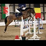 eq.lara - @larascott.showjumping - Instagram