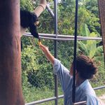 @larashepherd - Instagram