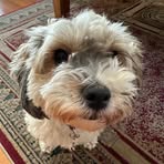 Lara Simpson - Facebook