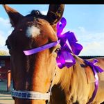 Lara Simpson - @lara_tictac_xx - Instagram