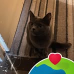 Lara Sutherland - Facebook