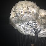 Lara Sweeney - @architecture_to_the_next_level - Instagram