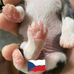 Marie Lara Tyson - Facebook