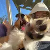läraaa - @_lara_ulrich_ - TikTok