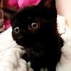 lara.weeks2021 - @lara.weeks2021 - TikTok