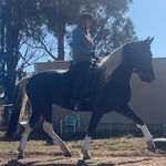 Lara Willis - @tilda_park_luna_eclipse - Instagram