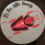 Lara Wright - @usedtobeanidlewife.zim - Instagram