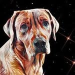 Lorraine Bennett - @celtic_swan_creations - Instagram