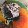 Lorraine S. Bennett - @lorraines.bennett7 - TikTok