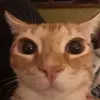 laraine_c - @laraine_c - TikTok