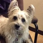 Lari Dellen Thomas - @lari.thomas.92 - Instagram