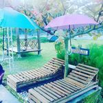 ardian - @larissa_backry_and_cake - Instagram